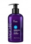 SILVER MASK (300ml)