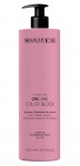 COLOR BLOCK SHAMPOO (1000ml)